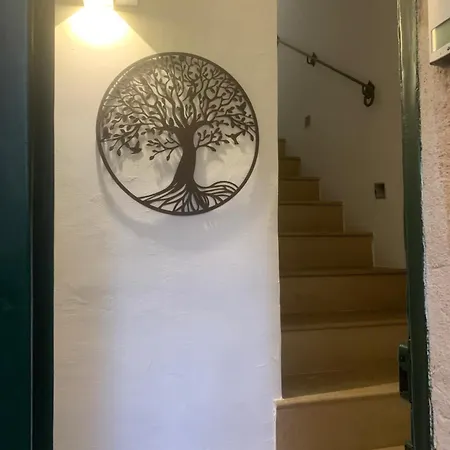 Maison Palmieri *